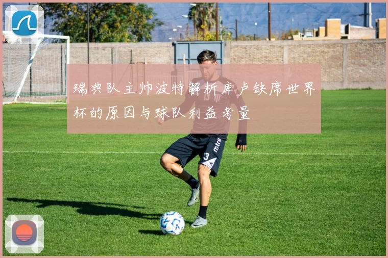 瑞典队主帅波特解析库卢缺席世界杯的原因与球队利益考量